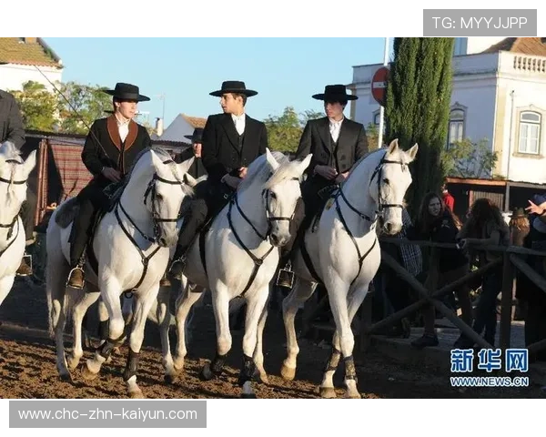 葡萄牙马术协会与欧洲马术协会签署合作协议，共同举办国际赛事。